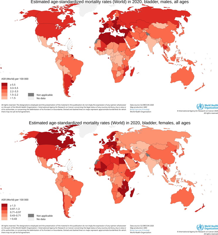 EUplatinum's tweet photo. Highlight: Epidemiology of Bladder Cancer in 2023: A Systematic Review of Risk Factors 

https://t.co/OL8hXvFXLw 

@IJubber @_SeanOng @LauraBukavinaMD @pcvblack @evacomperat @UroDocAsh @lawrentschuk @JoshMeeks @AndreaNecchi @VPanebiancoIT @ArianaZnaor @JimCatto @marcuskwesi https://t.co/tkpzAWFG80