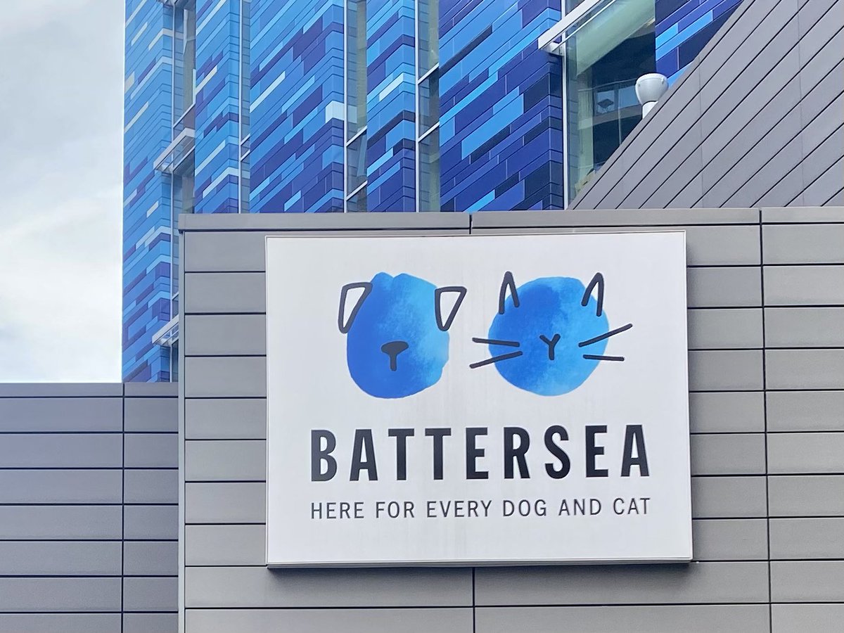 We love donating ❤️
Today we had some cat toys and treats to bring to the fantastic <a href="/battersea/">battersea</a> 
Donating and recycling are our first priority here @declutter_me 
#declutter #batterseadogshome #batterseacatsanddogshome #organise #donate #loveanimals #charity