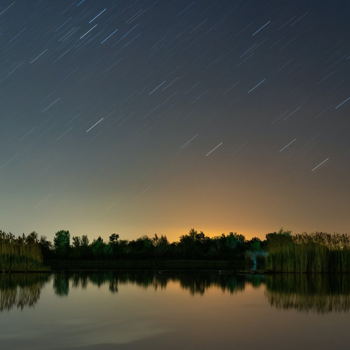 StarLedger tweet media