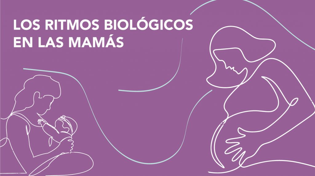 🤰 El Grupo de Cronobiología del Uruguay, dirigido por las docentes de <a href="/FcienUdelar/">Facultad de Ciencias</a>, las doctoras Ana Silva y Bettina Tassino, realiza un estudio de los ritmos biológicos en las embarazadas y está convocando a interesadas en participar.

👉 Conocé más: udelar.edu.uy/portal/2023/08…