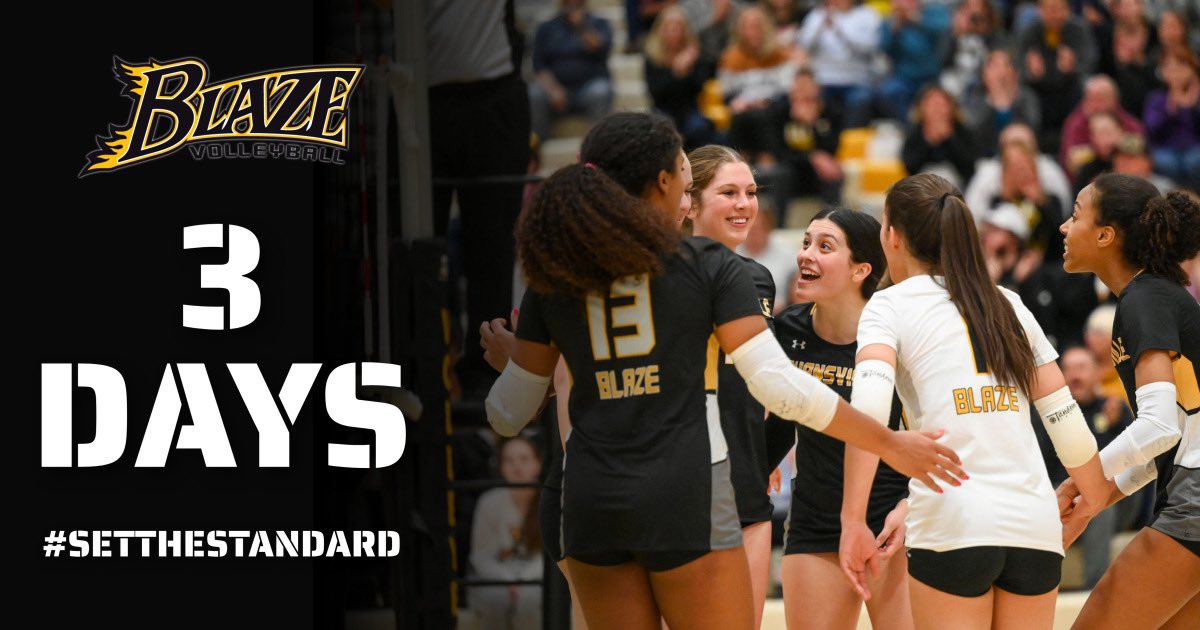 3. Days. Away!!!!!!!

We can barely hold in our excitement to be back on the court and get to work! Head on over to burnsvillevolleyball.com for more info and registration details!
#setthestandard