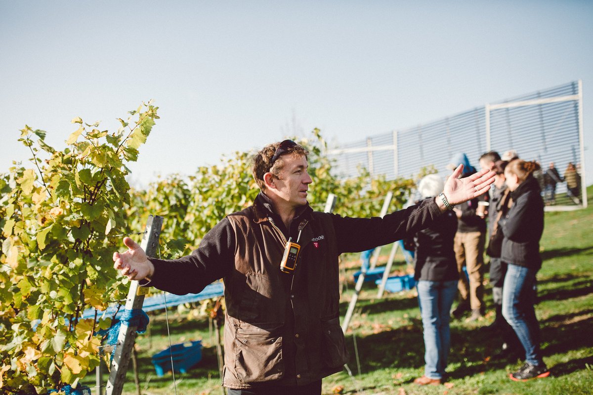 In our latest blog, we catch up with our Vineyard Manager Cam to reflect on the last 12 years at Rathfinny and the exciting adventures that lie ahead. Read the Q&A in our latest blog: ow.ly/PokJ50PxvXy