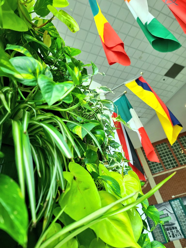 UAlbertaCSJ's tweet photo. Dès la #Rentrée2023, un campus + 🟩 

#chlorophylle 🌱🌿 #campusvert https://t.co/RoYt6oLpBC