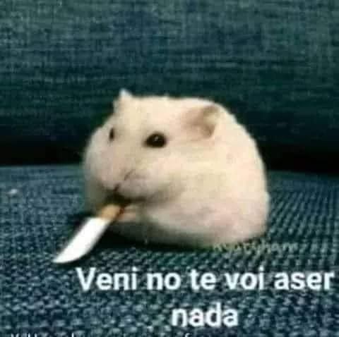 Maryo1520's tweet photo. Mld estás listo pa mis 500 tweet que te voy a dedicar con mucho cariño 🤭 vas a ver que te van a gustar 
#MLDDoItBetter 
#MLDRespectTFN #TFN 
#KPOP @mld_official_ https://t.co/7IoTURCTYg