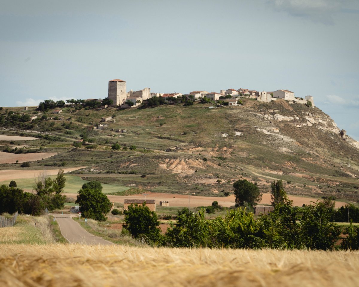 Paisajes españoles, paisajes de la Ribera del Duero Burgalesa.

#BodegasTresPiedras