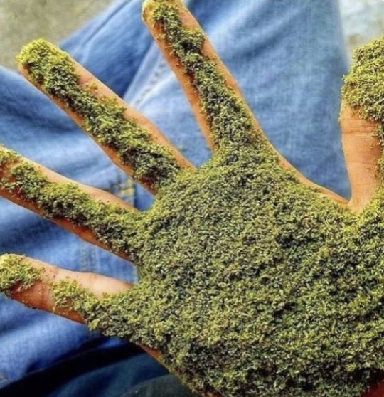 pov: smacking the stoner girls booty