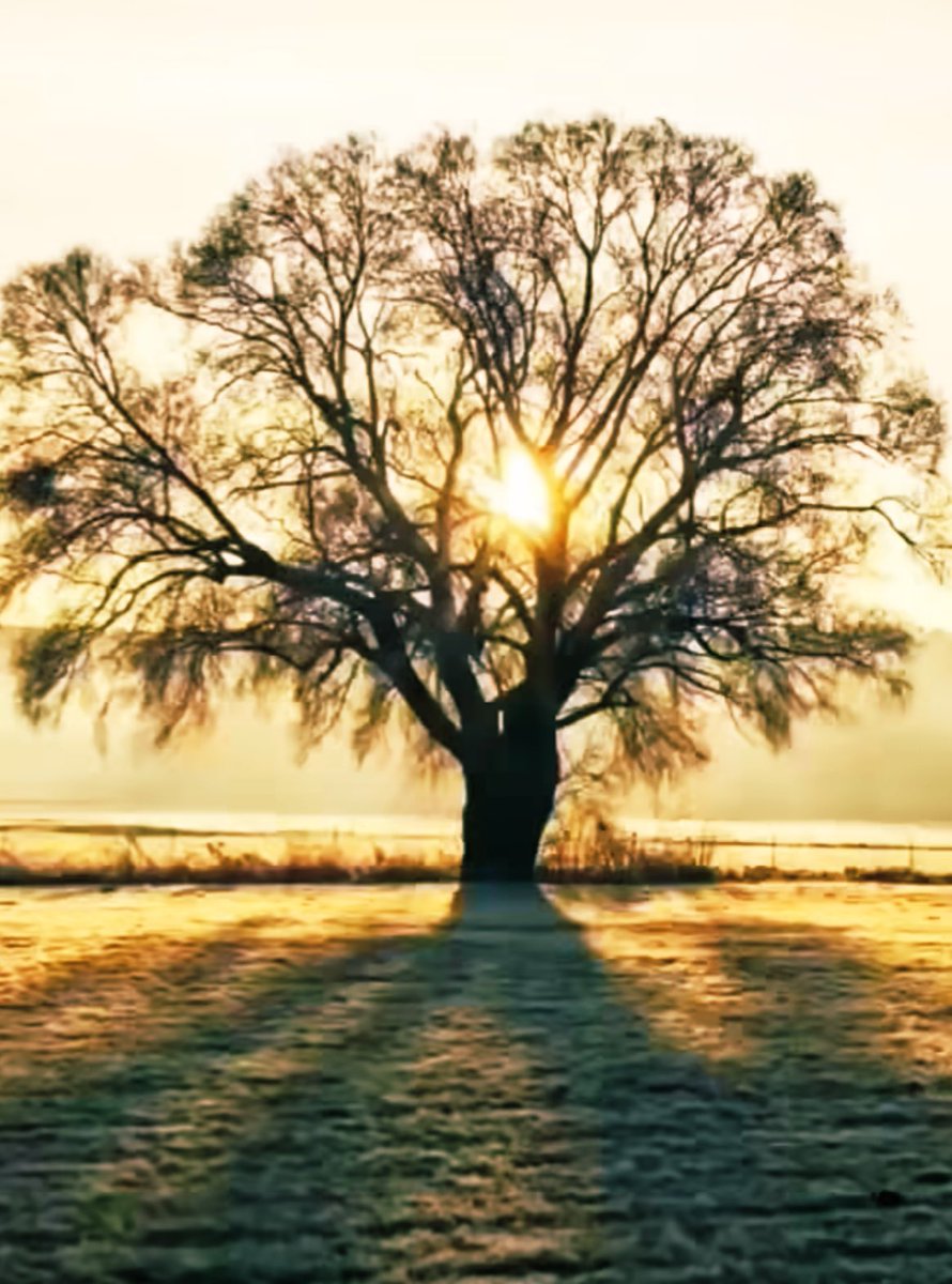 Biz ne olacağız? 
Diyenlere cevap; bir gün olmayacağız hepsi bu!. 
Kısacık bir hayat öyküsü…