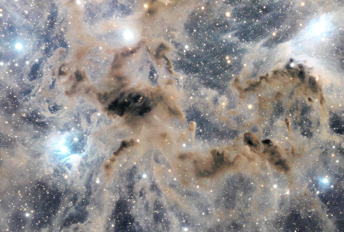 lucywaitt1's tweet photo. technical info for the Astronomy photographer of the year captions plumbed new depths of nerd but my god the images are BEAUTIFUL
closes Sunday @RMGreenwich
For those who can't afford Richard Branson's trips.The planet certainly can't..
#space #deepnerd #photography #astronomy https://t.co/kk7Xfr6mSy