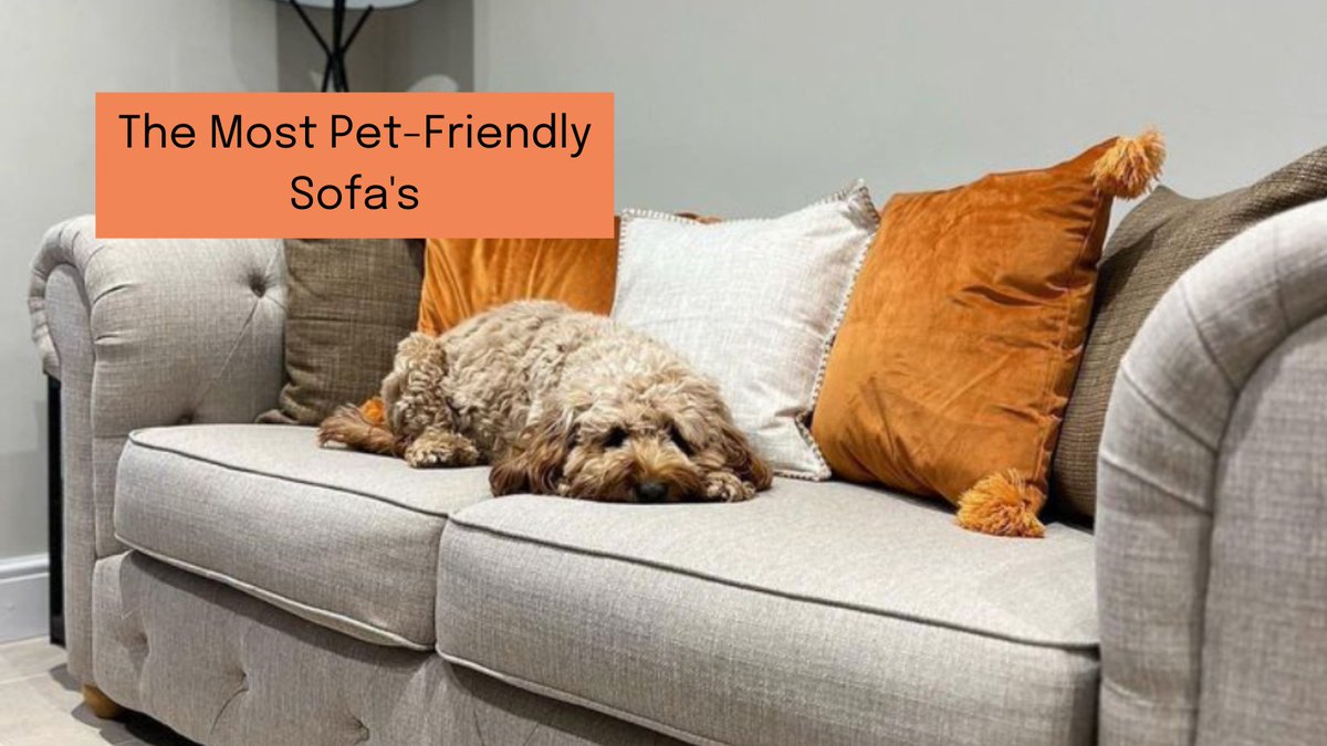 Looking to accommodate your four-legged, furry friend? Here, we share our top tips on what to consider when looking for a new sofa 👉 bit.ly/3yU3knn

🛒 - Abbey

#interiorideas #livingroominspo #interiordecor #interiors #interiordesigner #livingroomdesign