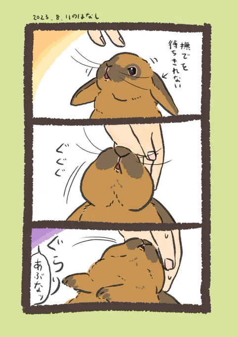 無鉄砲ちゃん🐰  #うさぎのいる生活