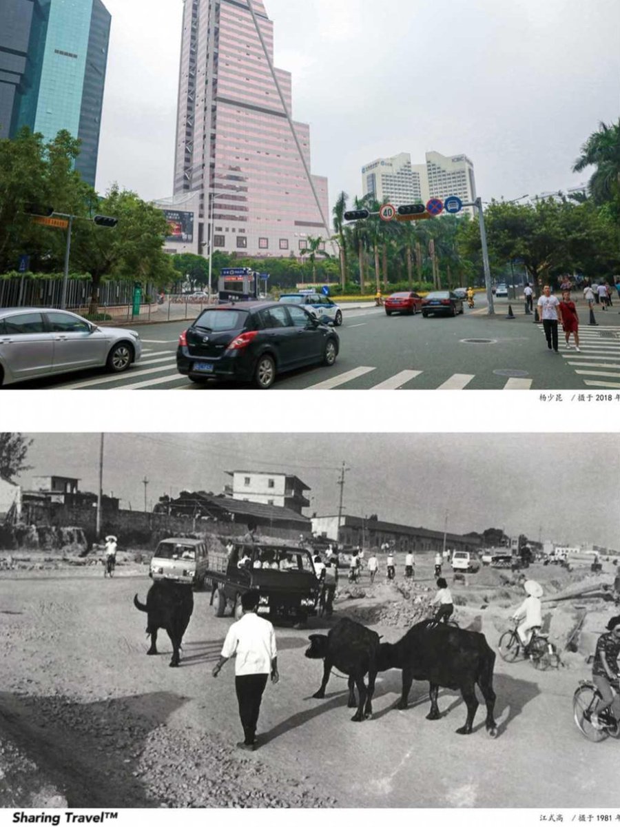 Shenzhen, 2018 vs 1981