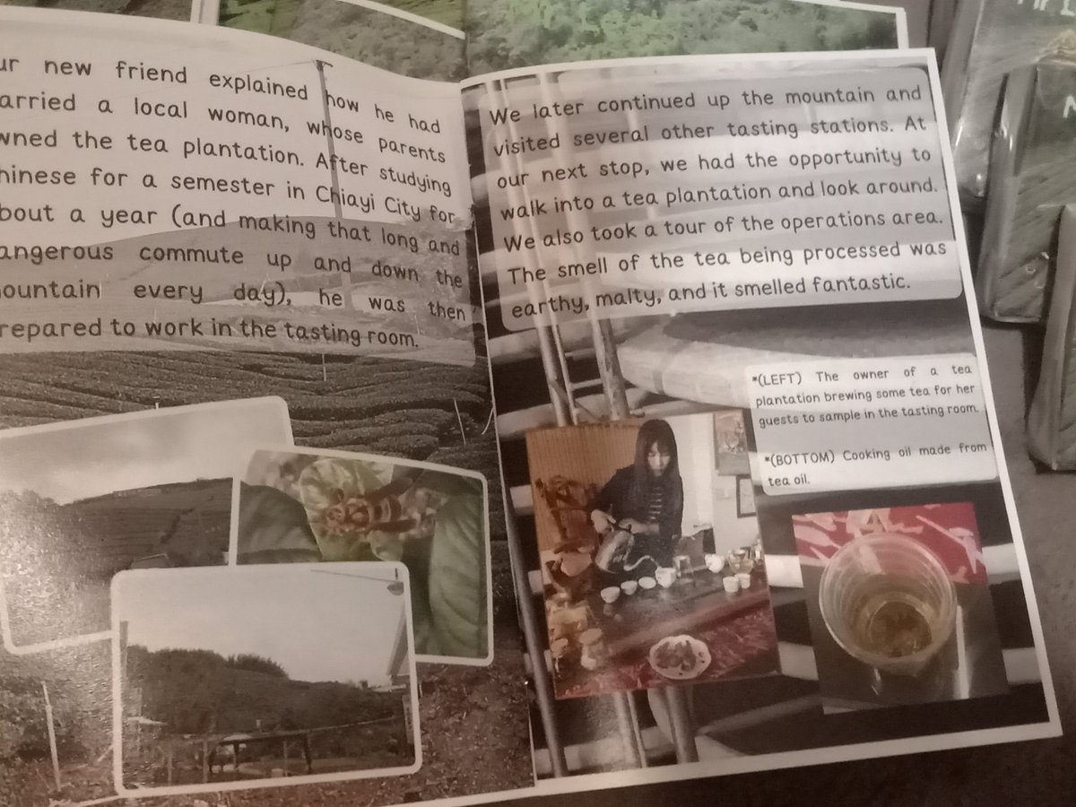 familybits1's tweet photo. Mr Lee's Alishan Tea Collector is now available for purchase! Originally a rough demo version was given out for free at a software convention in Taiwan. The demo was heavily expanded upon to create this version, which can be purchased below:

https://t.co/7uH9bvZVqz https://t.co/ecZGam2Ywz