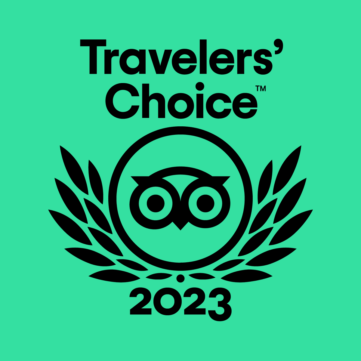 SPQRun's tweet image. I am so grateful to the runners who have helped me win the 2023 TripAdvisor Travelers' Choice Award for SPQRun Running Tours Rome. I could not have done it without your support and encouragement. Thank you for choosing SPQRun to run with!