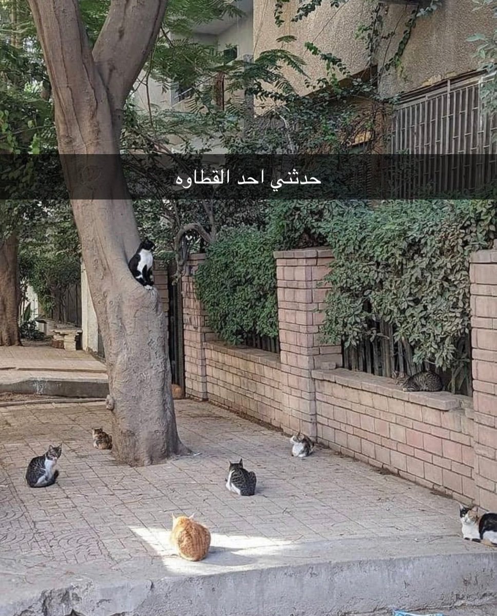 ‏عمر | كود نايس ون AH88 (@world_erorr) on Twitter photo 