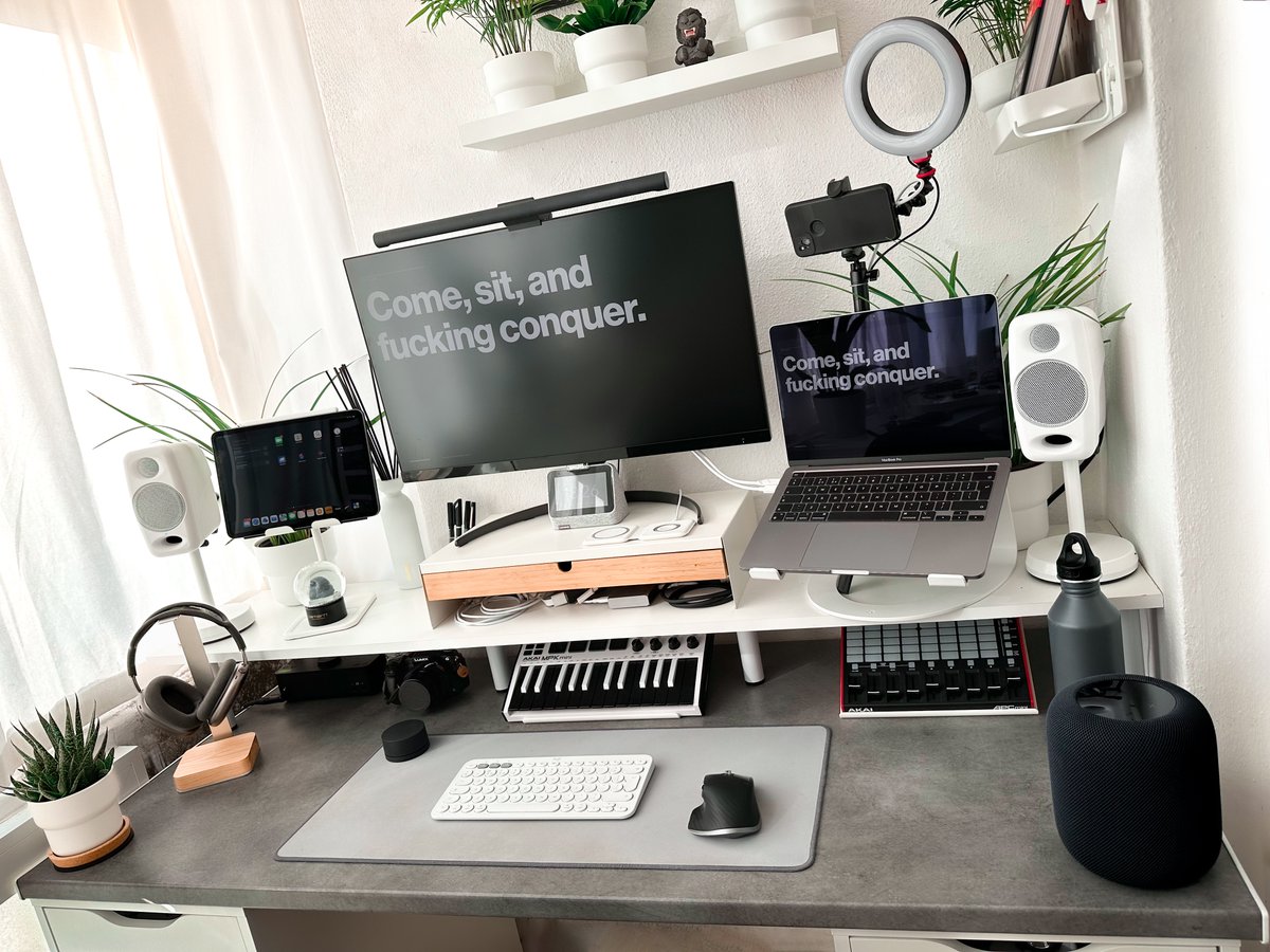 Alex Napier Holland 🦍 tweet media