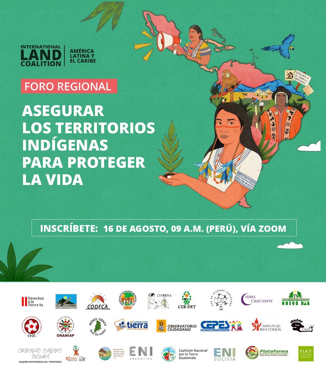 ILC América Latina y el Caribe tweet media
