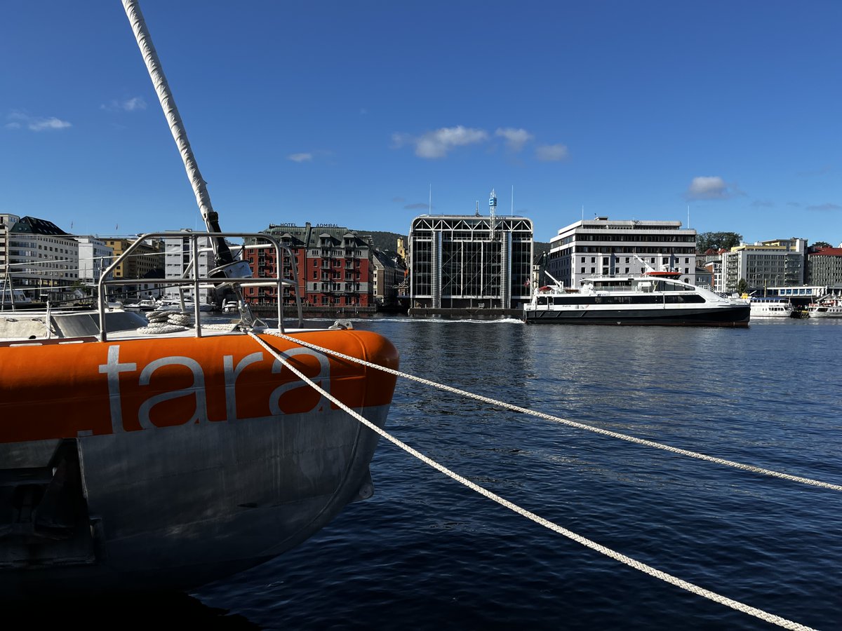 tristan cordier tweet media