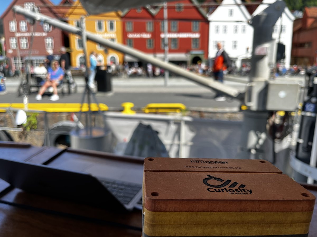 tristan cordier tweet media