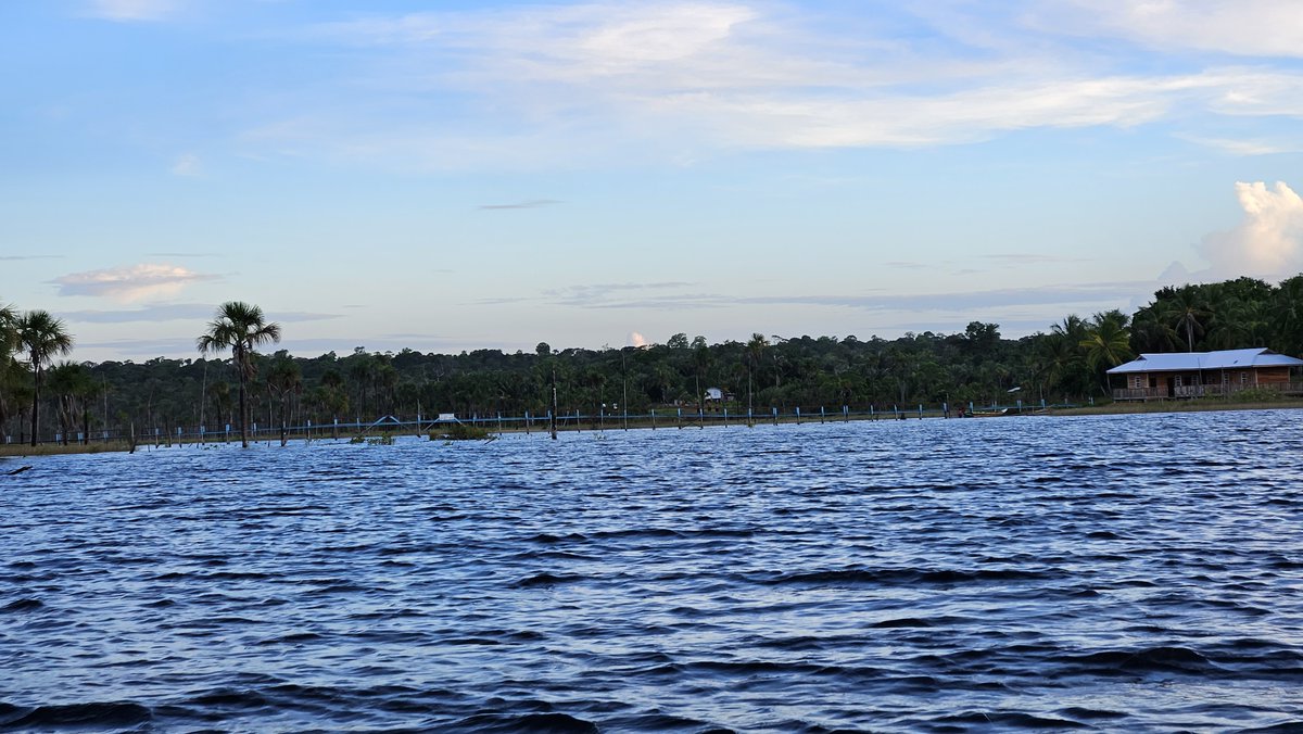 discoverguyana's tweet photo. Itiribisi Lake, nestled on the serene Essequibo Coast, acts as a captivating gateway to the picturesque Amerindian community of Mashabo.

#DiscoverGuyana #Guyana #Essequibo #exploreGuyana https://t.co/XEnr3AZ42D