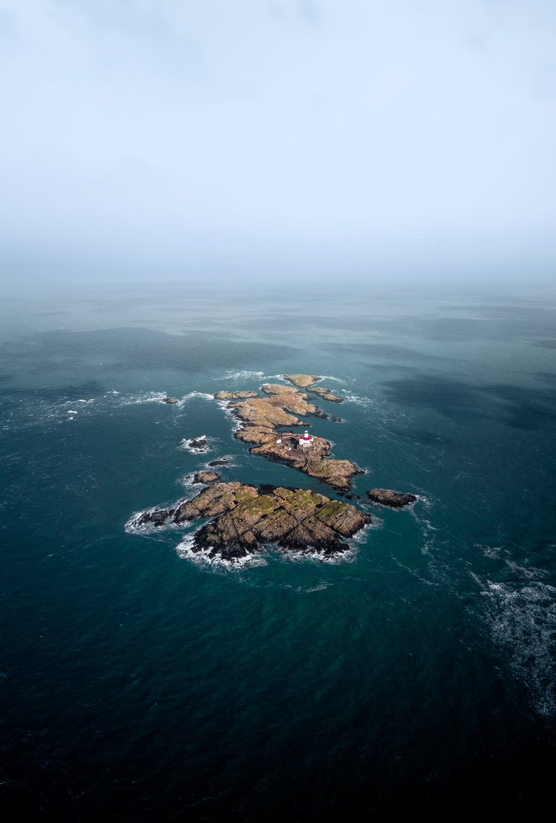 A study of blue in the nature