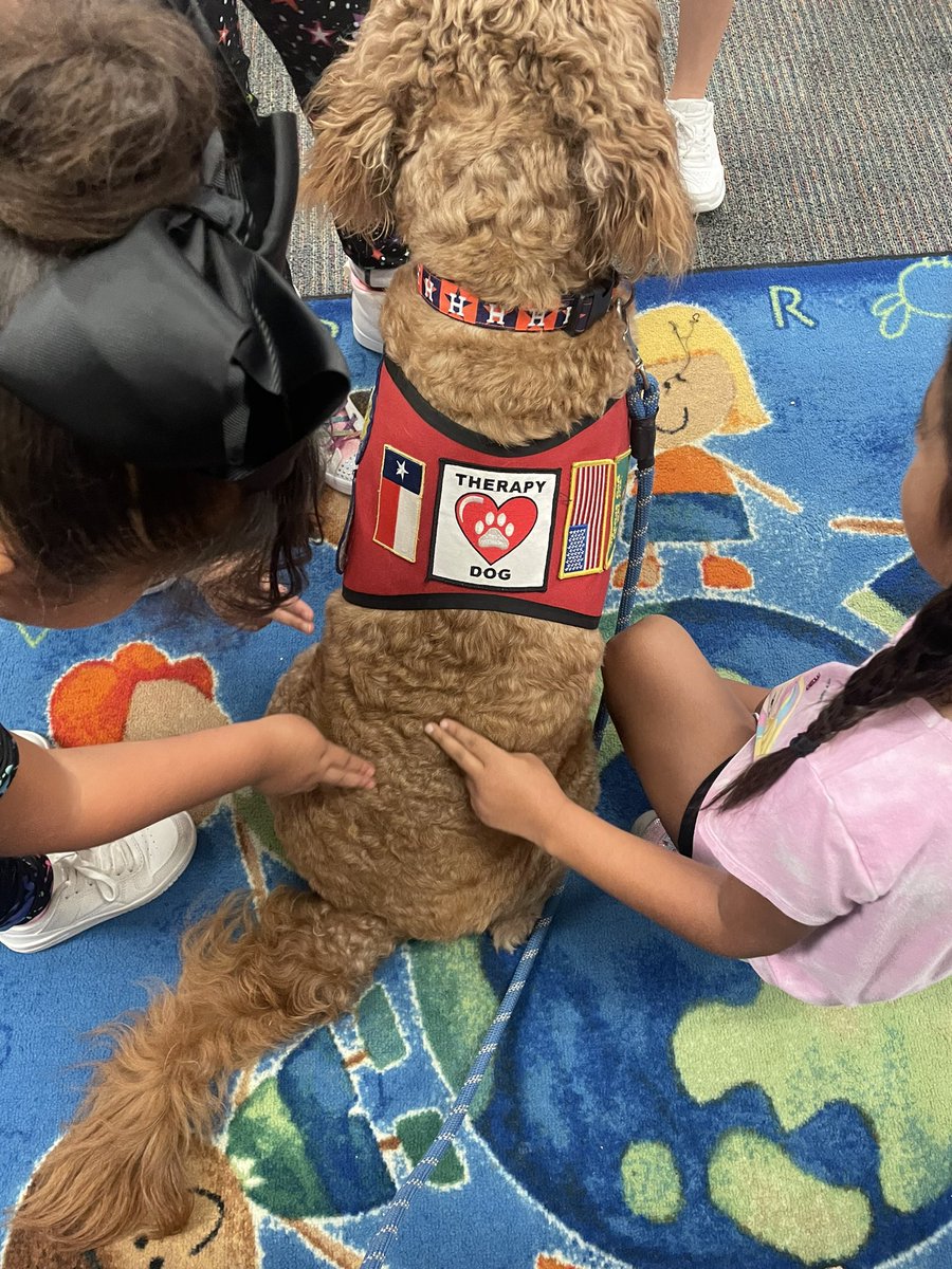 George the Comfort Dog tweet media