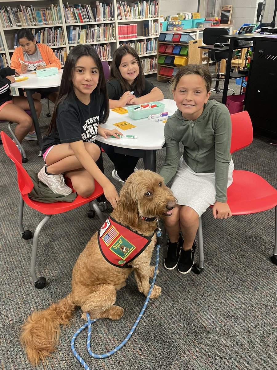 George the Comfort Dog tweet media