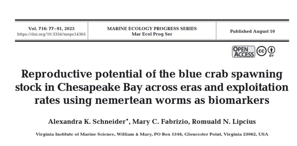 Thrilled to have the first chapter of my dissertation out! Give it a read if you want to know more about the blue crab spawning stock in Chesapeake Bay 🦀🪱int-res.com/articles/meps_…