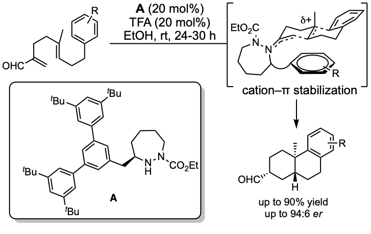 Latest paper from our group.  Incorporating cation-π stabilizing groups into hydrazide organocatalysts controls the enantioselectivity of polyene cyclizations.  Great work by Josie Warnica.

pubs.rsc.org/en/content/art…