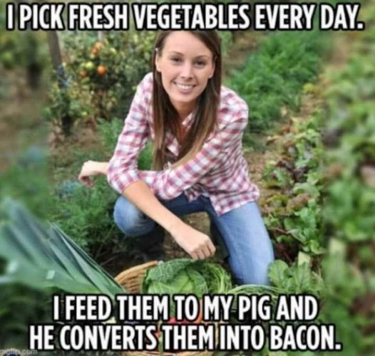 I am Ken tweet media