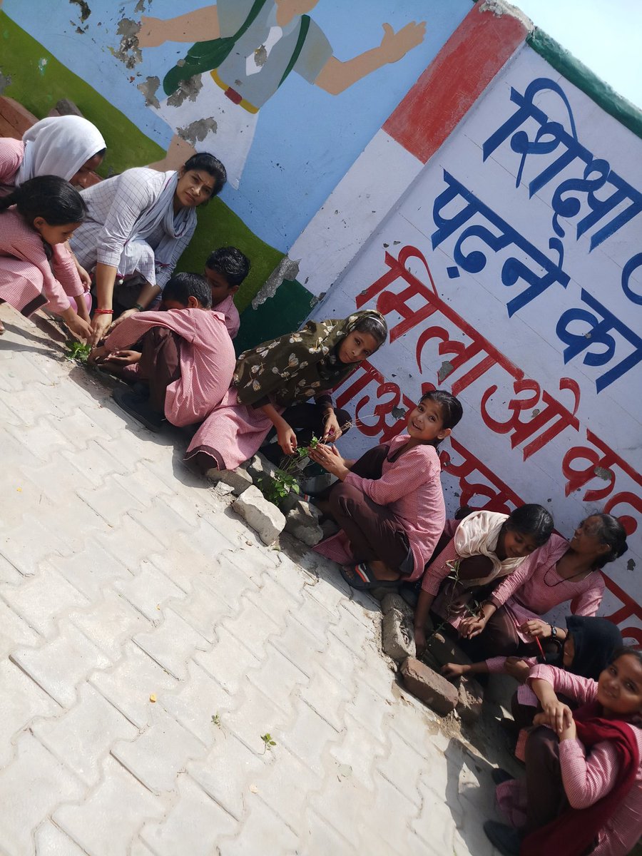 मेरी माटी मेरा देश कार्यक्रम के तहत
वृक्षारोपण व वीरगाथा वाचन