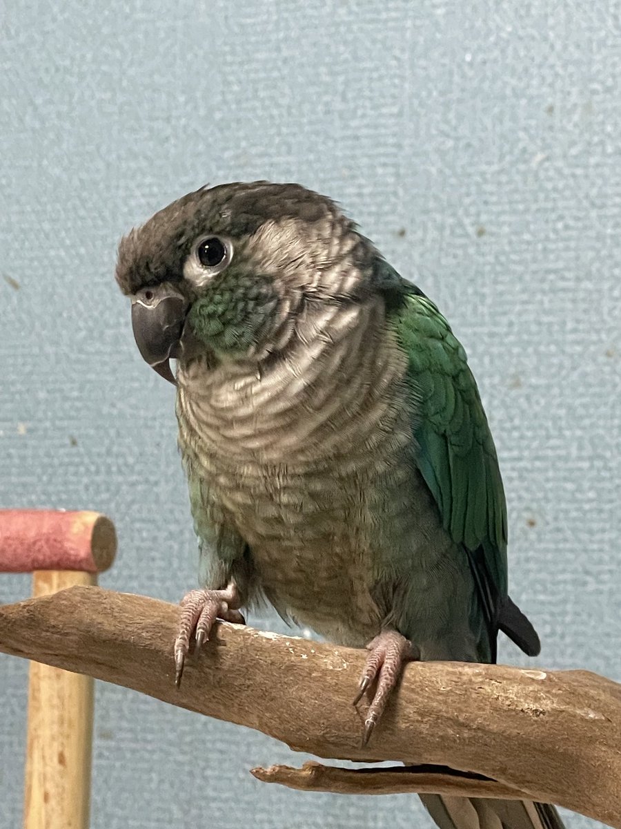 더 잘 못해줘서 미안해 평생 못잊을꺼야..