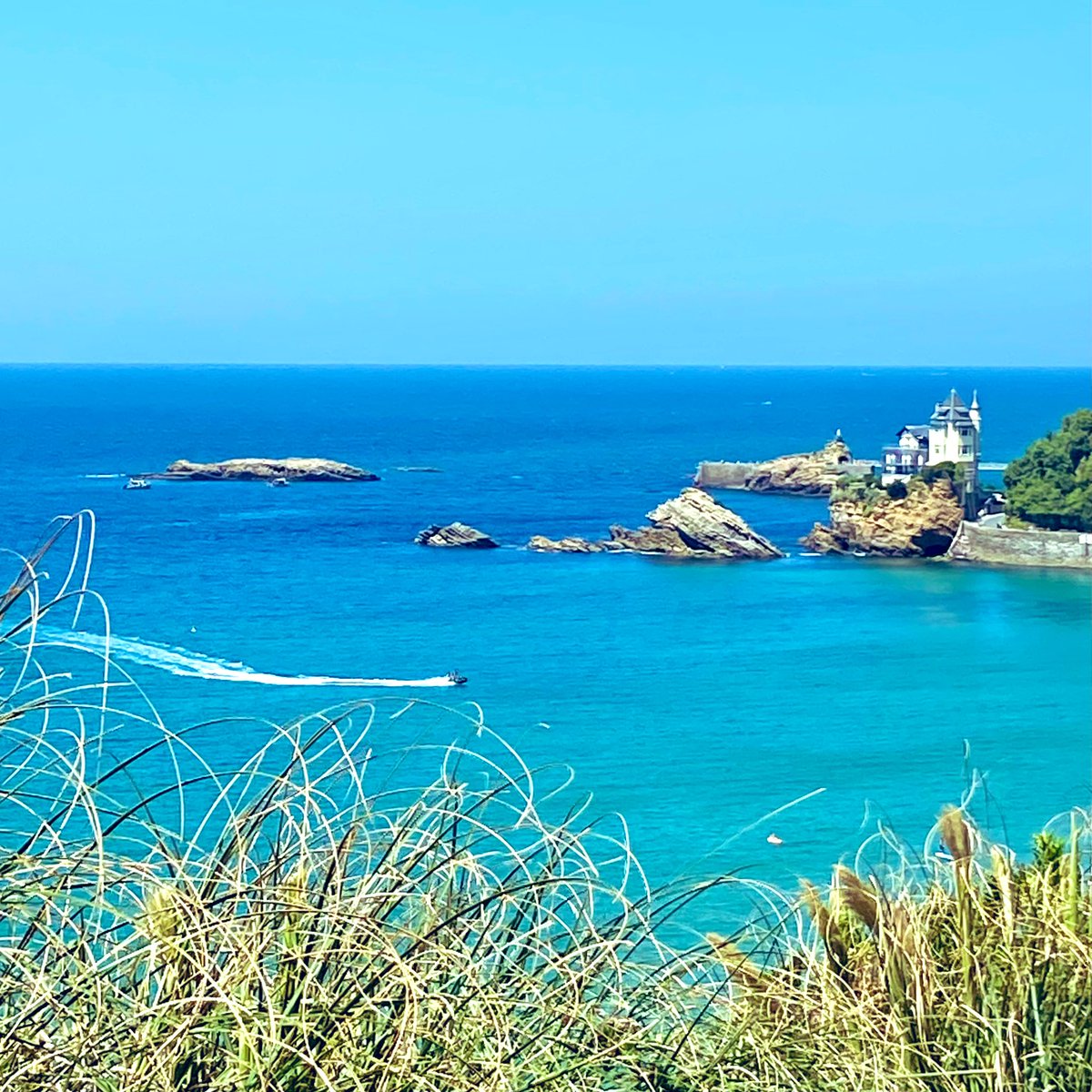 FoodieMemories's tweet image. Œuf parfait, gaspacho de petits pois ; Calamars à la plancha, frites, salades ; Côte de cochon / Restaurant les Bains #CôteDesBasques #Biarritz