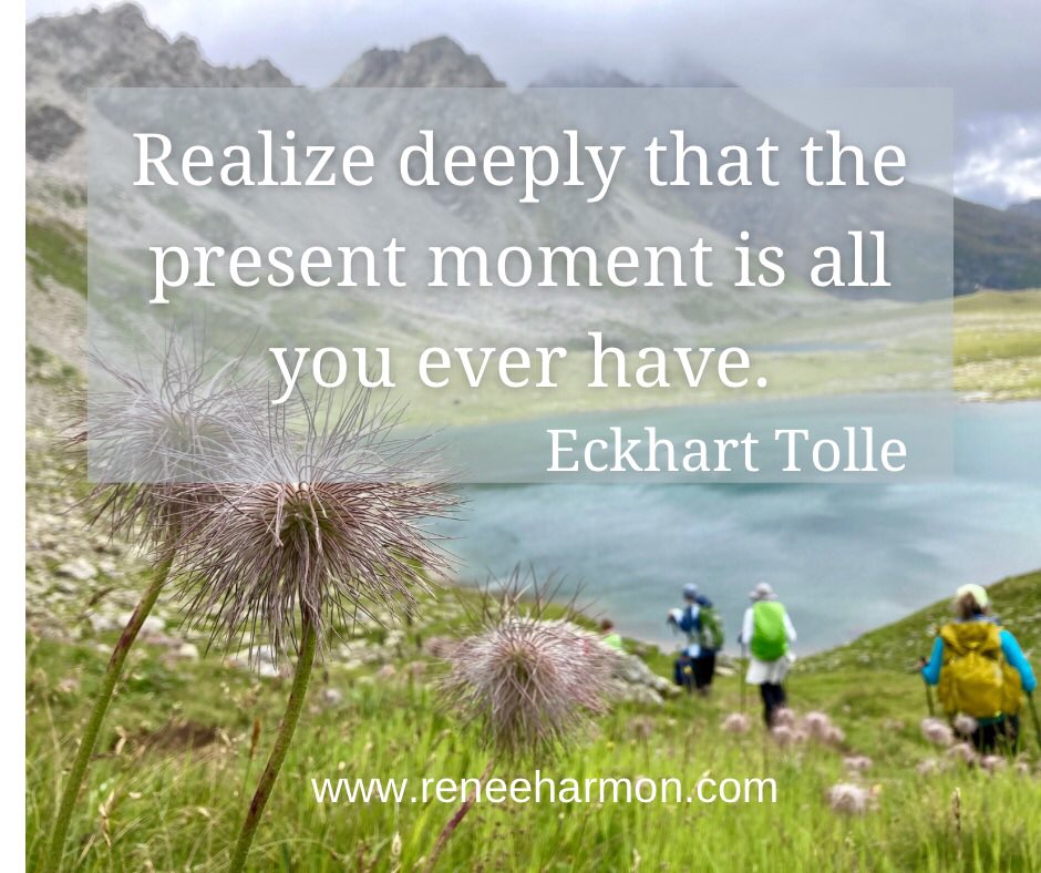 Blog post up about being present while traveling vs when at home. reneeharmon.com/2023/08/09/bac… #surfingthewavesofalzheimers #lifehikes #adventuretravel #eckharttolle #presence #presentmoment