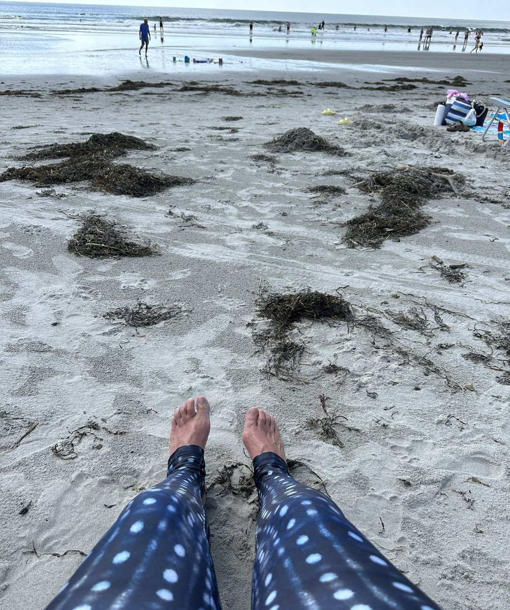 susan loftus (she/her) tweet media