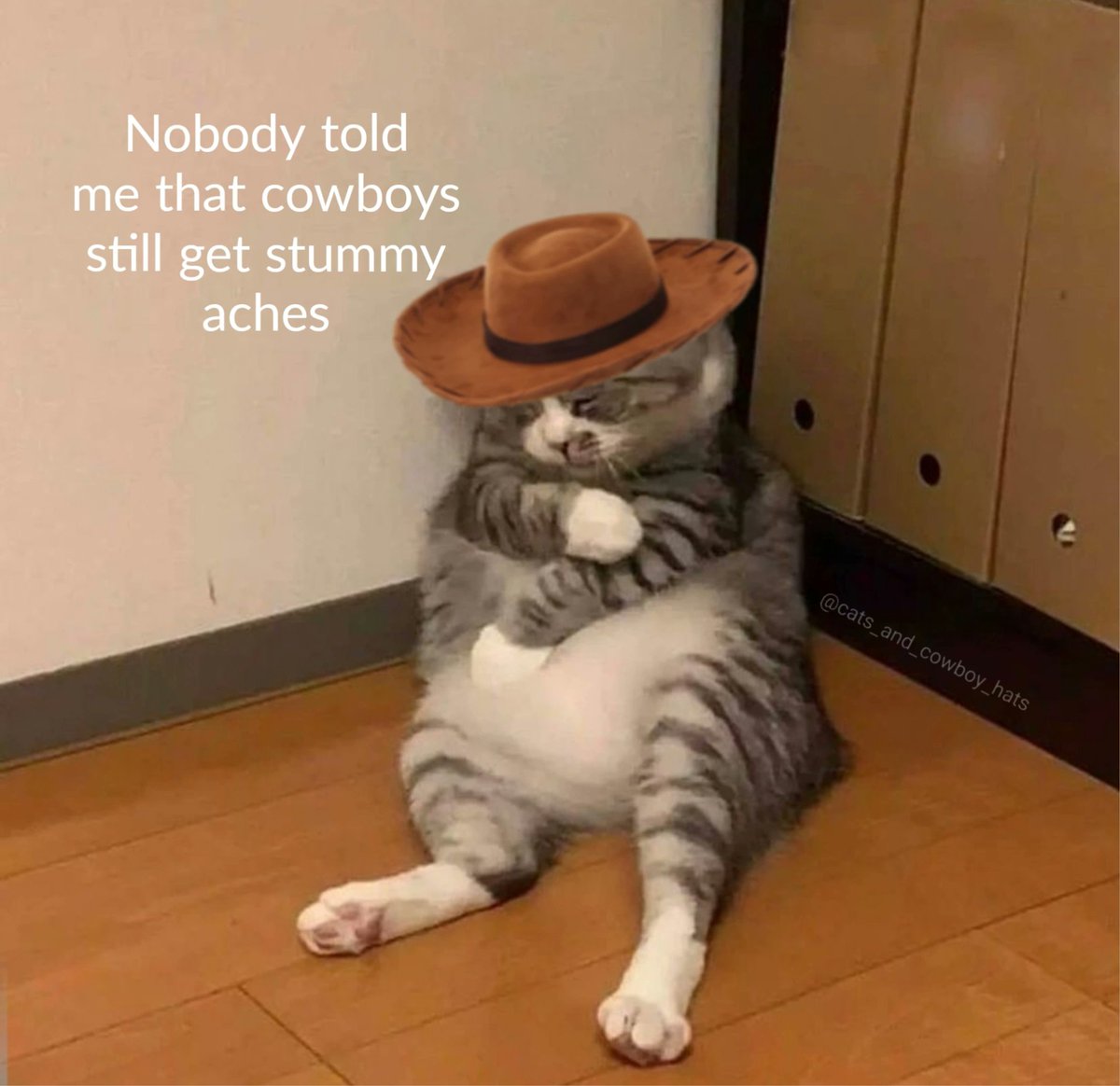 CowboyCats's tweet photo. https://t.co/IJvB1oiYWY