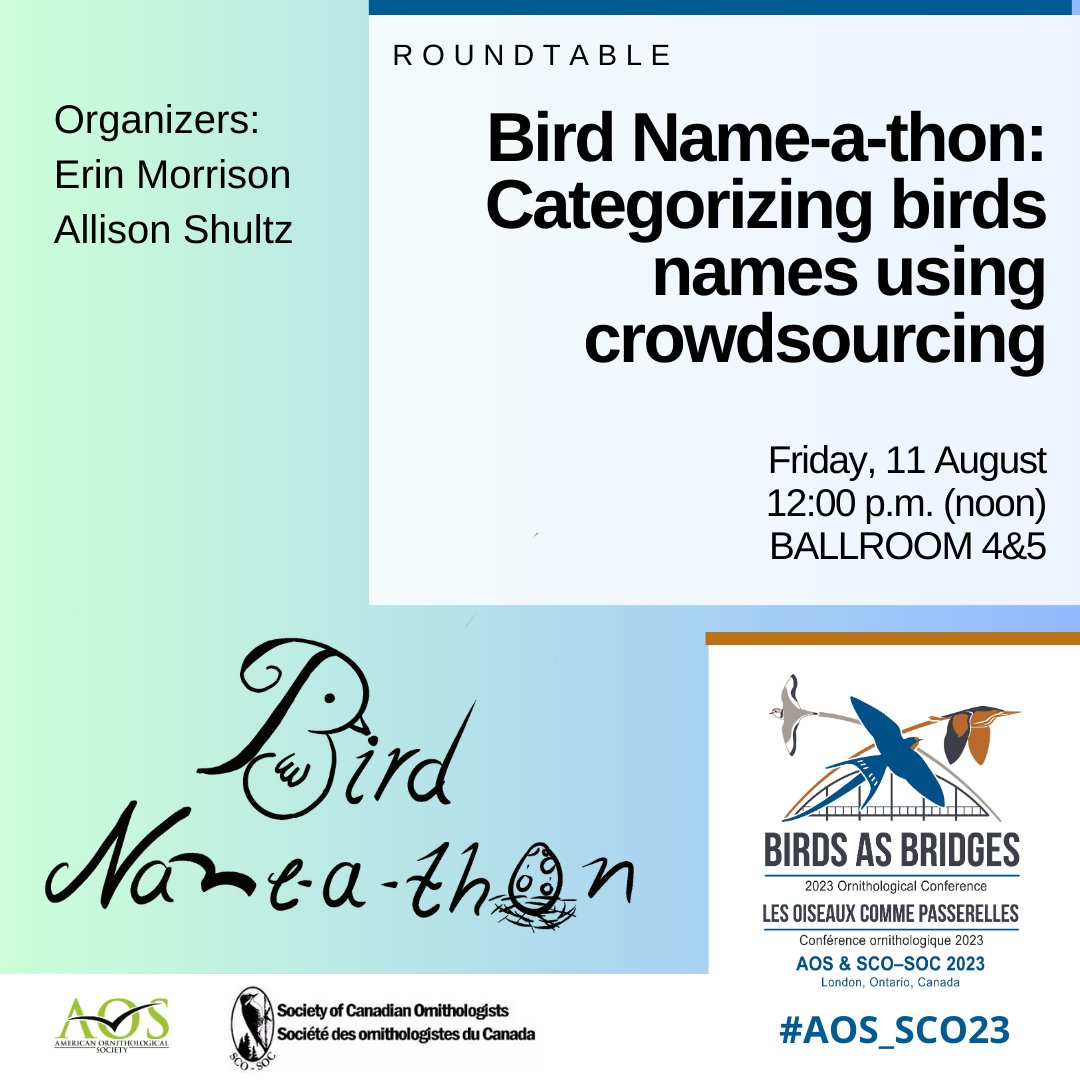 AmOrnith's tweet photo. #AOS_SCO23 roundtable: Bird Name-a-thon: Categorizing birds names using crowdsourcing: Friday, 11 August, 12:00 pm (noon); Ballroom 4&amp;5
https://t.co/3XtmWEse5Y    
#ornithology @SCO_SOC https://t.co/SjYdGzshKP