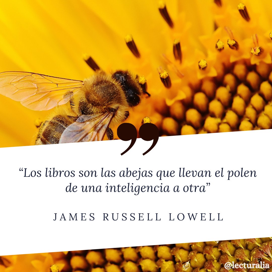 Lecturalia's tweet photo. Los libros son como las abejas 🐝📖 https://t.co/Bodf5q7hzM