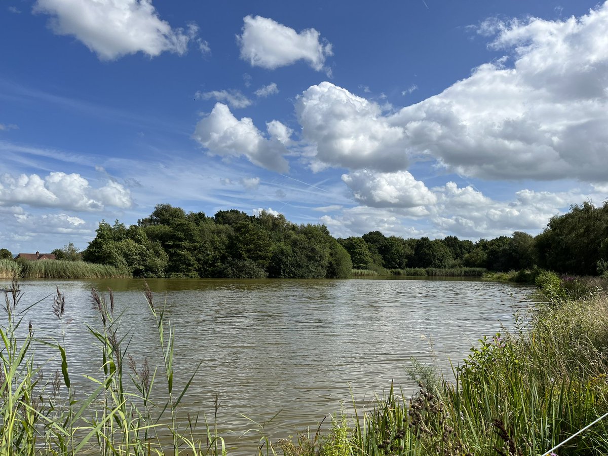 Manc Jules ππ»ββοΈπ³οΈβπ (π³οΈββ§οΈ ally always) (@mancjules) on Twitter photo Such a gorgeous afternoon to be relaxing & enjoying nature at Lindow Common. Love it here! <a href="/BBCNWT/">BBC North West</a> <a href="/LindowCommon/">Lindow Common SSSI</a> <a href="/BBCWthrWatchers/">BBC Weather Watchers</a> Such a gorgeous afternoon to be relaxing & enjoying nature at Lindow Common. Love it here! <a href="/BBCNWT/">BBC North West</a> <a href="/LindowCommon/">Lindow Common SSSI</a> <a href="/BBCWthrWatchers/">BBC Weather Watchers</a>