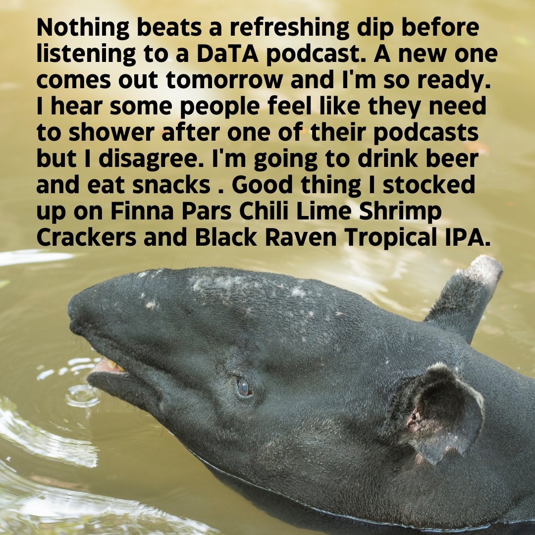 Drinking and Talking Animals tweet media