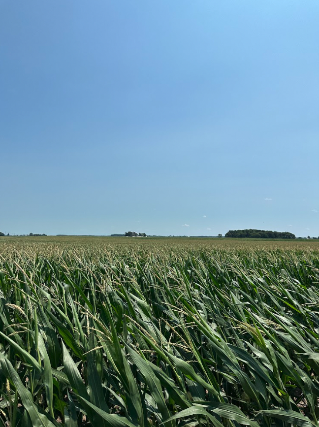 Farmer's Keeper LLC tweet media