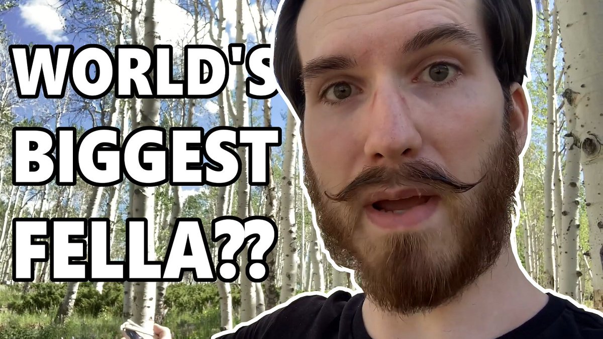 EightBitBrody's tweet image. I made it to Utah, and I saw such a big guy.
youtu.be/NDAs7TPJ9Fk