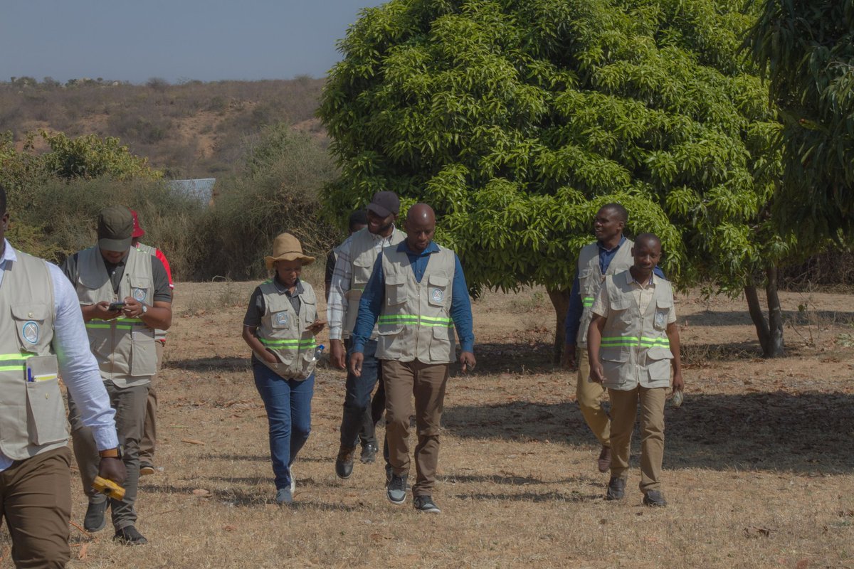 Tanzania Geological Society tweet media