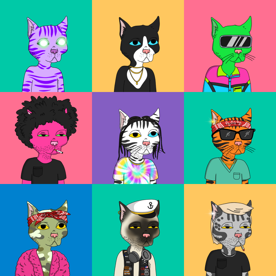 Imagine minting 50 Gutter Cats back on June 8, 2021. Fast forward to today—how many of them would still be in your wallet?

For this guy, the answer is 37 🧵👇

(1/18)