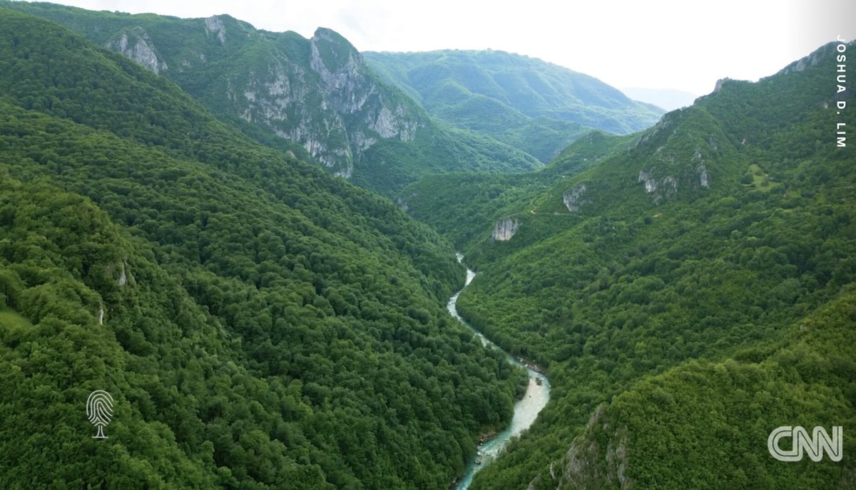 Ulrich Eichelmann tweet media