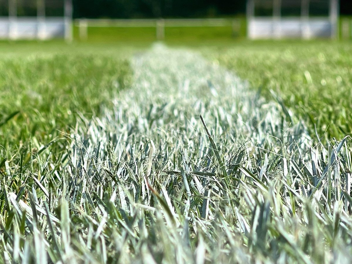 FMFCSENIORS's tweet photo. Wembley ❌
Wardley ✅

Our final preparations are complete ready for the start of the @SS_SundayLeague  23/24 season.

🆚 @NewMillFC 
🏟 Wardley Welfare
📆 13/08/2023
⏰ 10:30 KO

#UpTheFelling #mickygsblackandwhitearmy #magpies #UTF #maddogmac

⚫️⚪️ https://t.co/fFbobvt16S