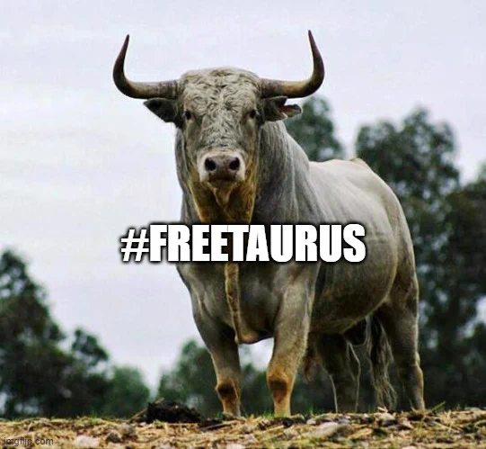 F3QnMmxWAAABvRe?format=webp&name=small