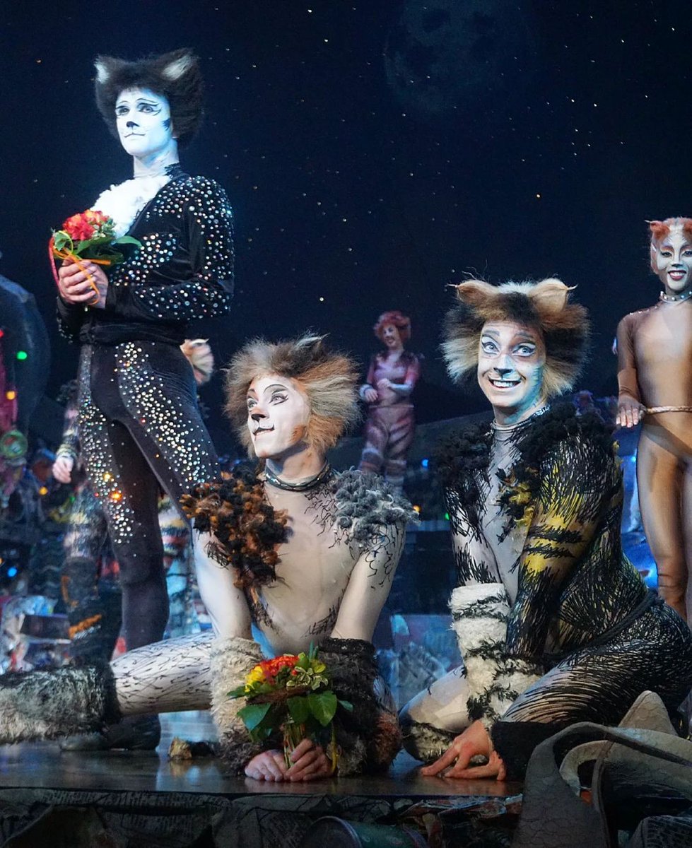 hourlyjellicles's tweet photo. Mistoffelees (Stephen Martin Allan), Bill Bailey (Aaron Hunt) and Carbucketty Cover (Matthew Levick) - Vienna Revival https://t.co/A4R72HviOe