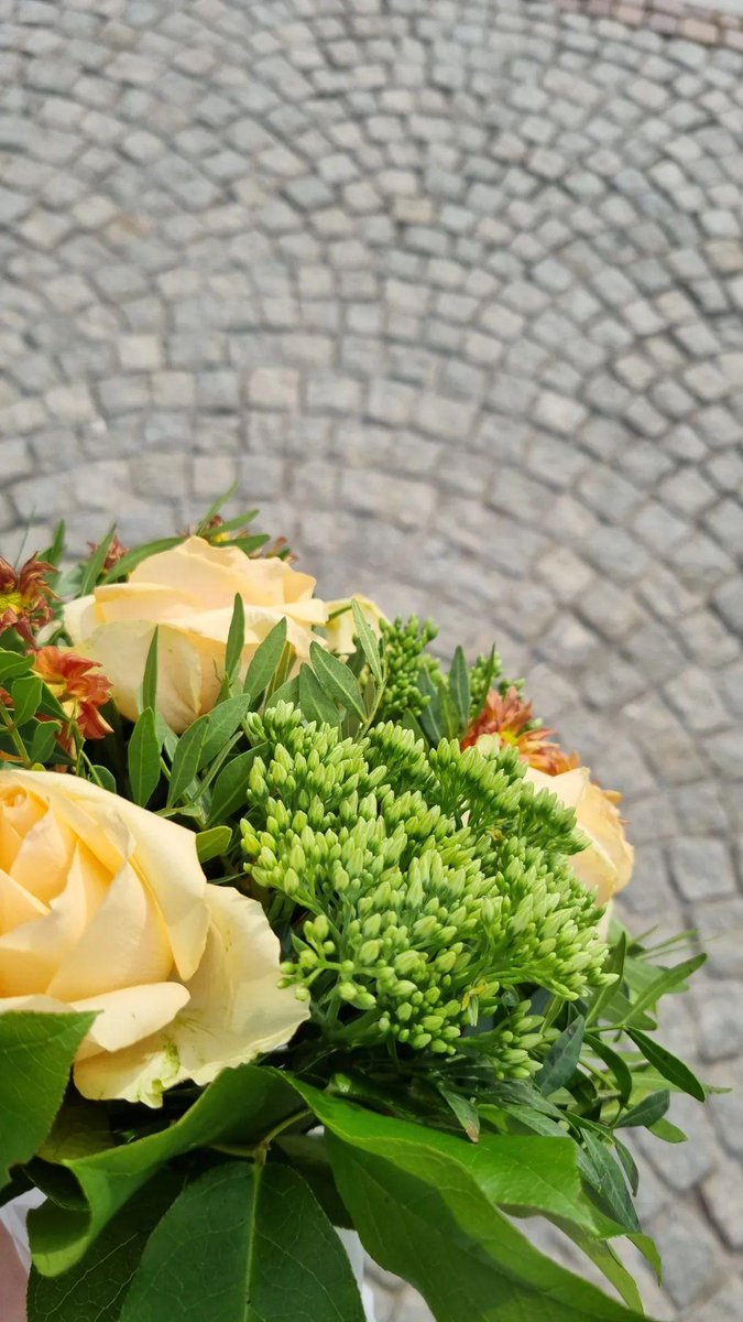 CloudGengar's tweet photo. So ein Girl hat grade auf meine Blumen gezeigt, dann direkt auf sich selbst und ihr Boyfriend hat mich dann mega Sauer angeguckt https://t.co/qsSUbJMHGF