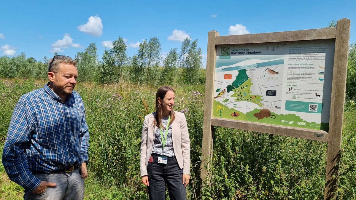 This is Protos tweet media