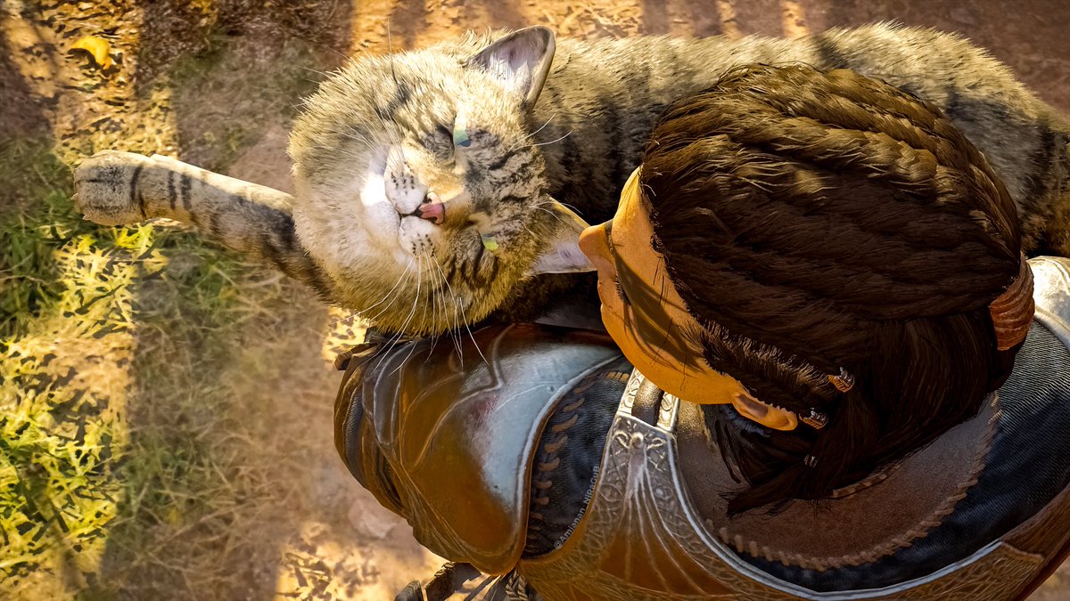 Amianan_NiRaGuB's tweet photo. I Love You, Mom! ๐ป๐ฝ
#AssassinsCreedValhalla #ACFinest #ACTeamLight #TOWCBWeeklyCapture #PS5Share
@assassinscreed @UbisoftMTL @Ubisoft
#VirtualPhotography #VGPUnite #VPRT #LandofVP #GamerGram #ThePhotoMode #VPCONTEXT #ArtisticofSociety #VPEclipse https://t.co/PLanViGW16